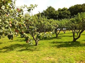 Cider Cottages Берли Экстерьер фото